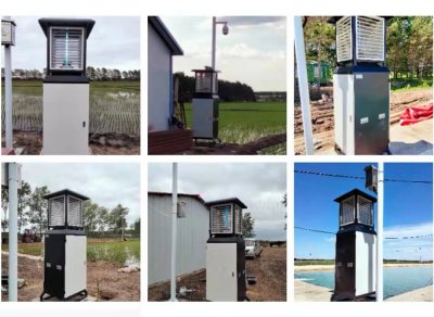 东北某虫情智能监测点